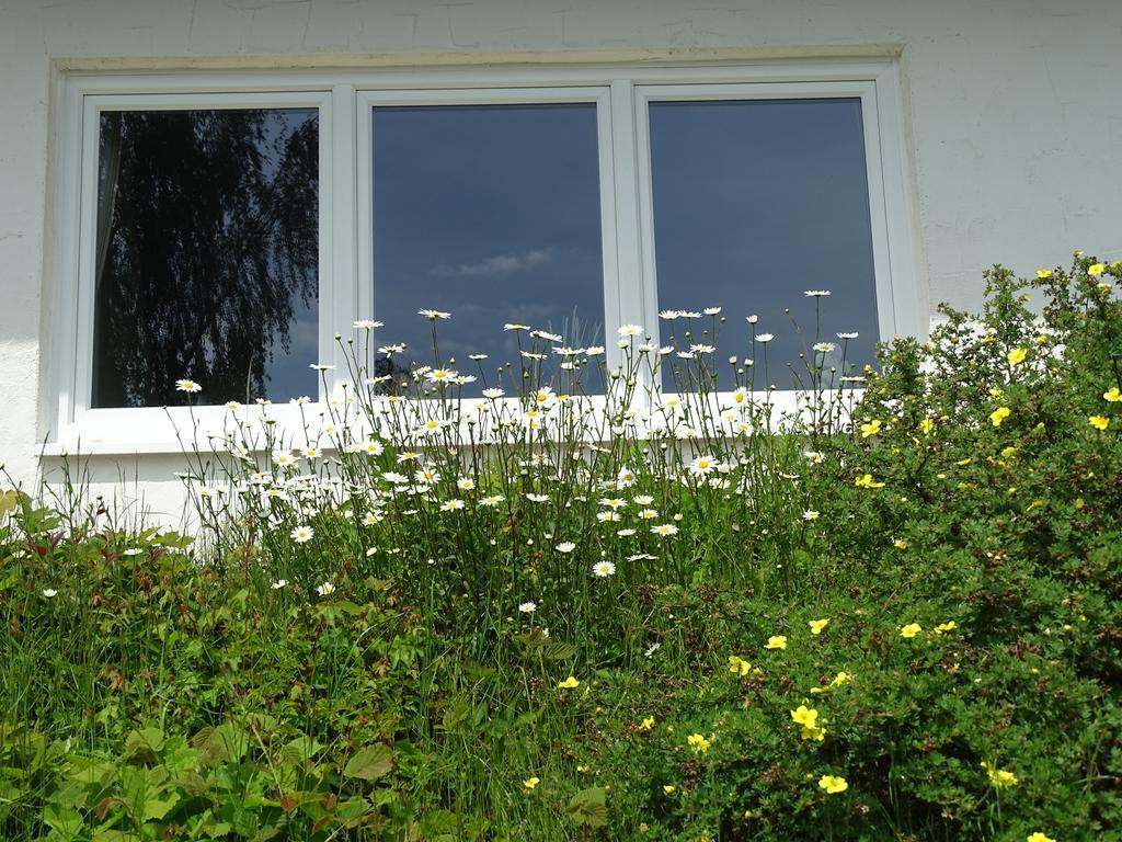 Biersdorf Landhaus Waldrand מראה חיצוני תמונה